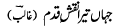 jahan-tera-naqsh-e-qadam